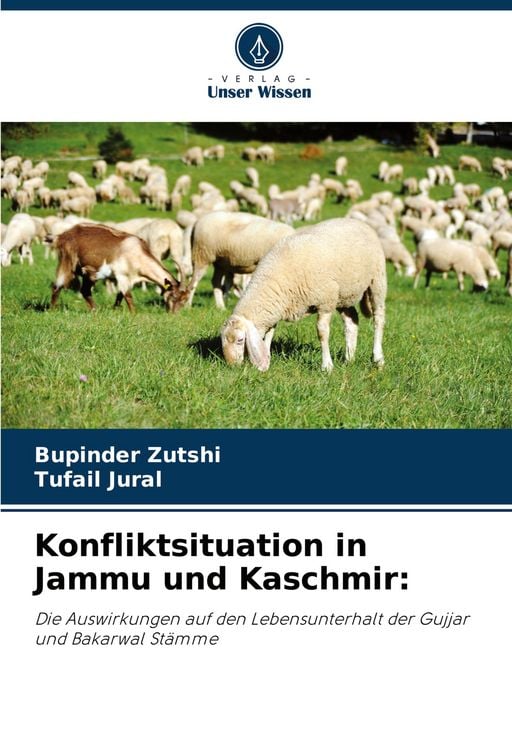 Produktbild: Konfliktsituation in Jammu und Kaschmir: