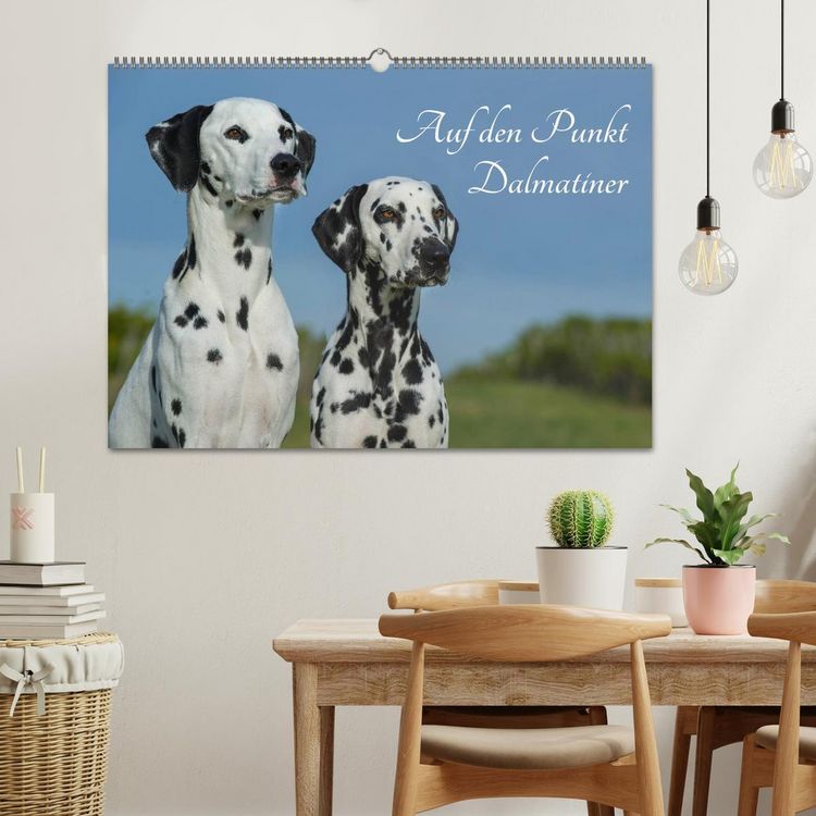 Produktbild: Auf den Punkt - Dalmatiner (Wandkalender 2026 DIN A2 quer), CALVENDO Monatskalender