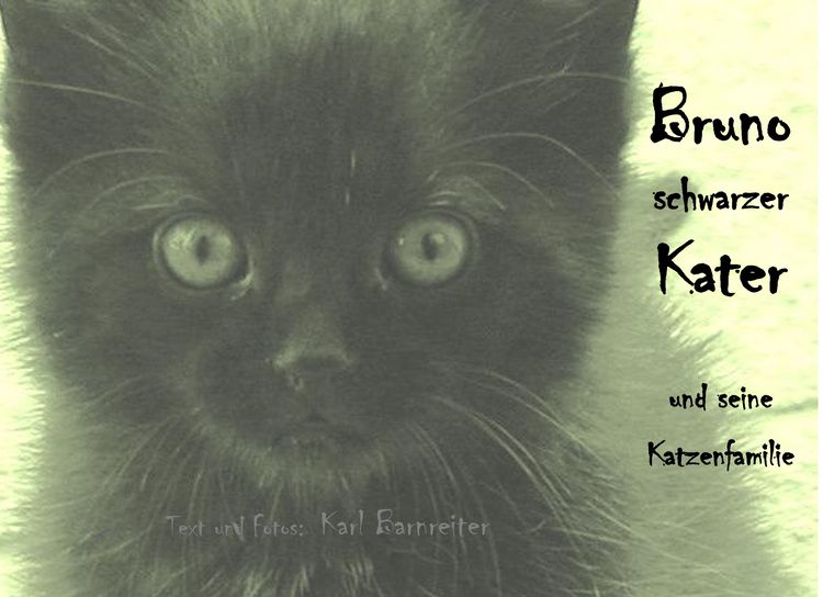 Produktbild: Bruno schwarzer Kater