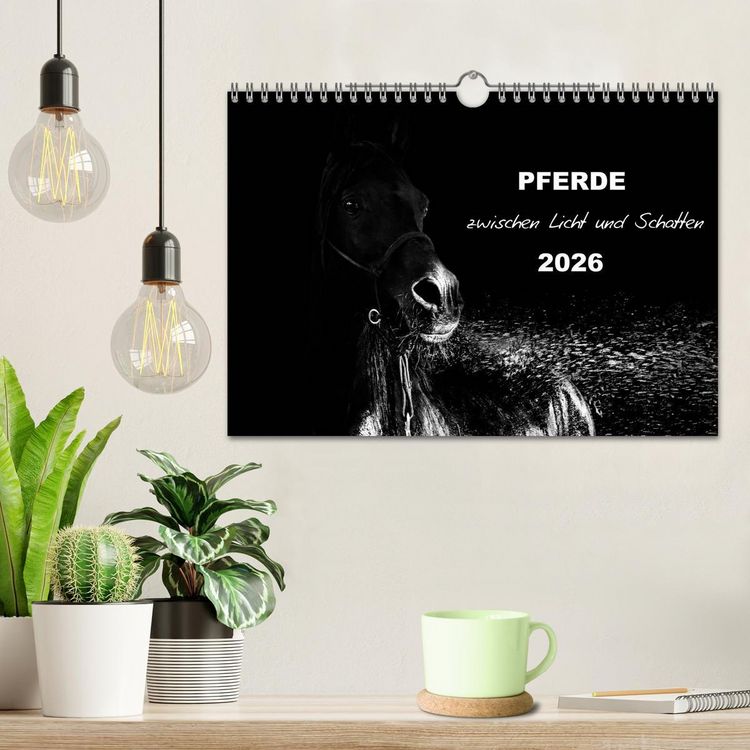 Produktbild: Pferde zwischen Licht und Schatten (Wandkalender 2026 DIN A4 quer), CALVENDO Monatskalender