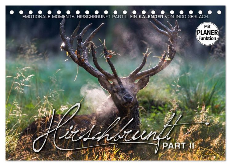 Produktbild: Emotionale Momente: Hirschbrunft. Part II. (Tischkalender 2026 DIN A5 quer), CALVENDO Monatskalender