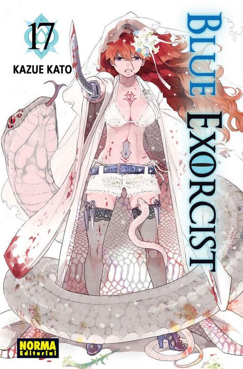 Produktbild: Blue Exorcist 17