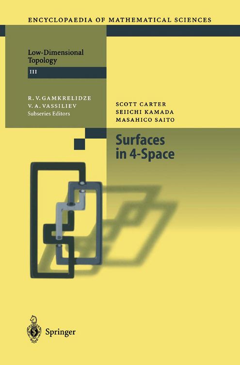Produktbild: Surfaces in 4-Space