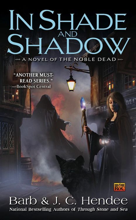 Produktbild: In Shade and Shadow