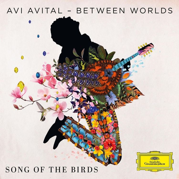 Produktbild: Song Of Birds