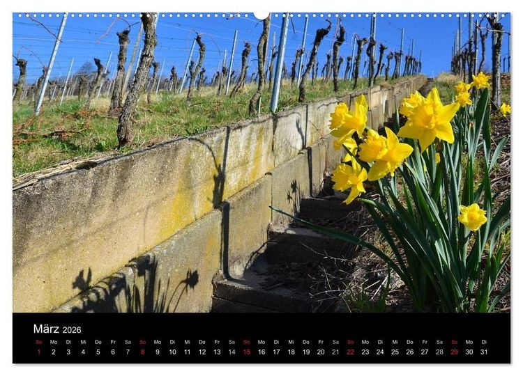 Produktbild: W.EINBLICK (hochwertiger Premium Wandkalender 2026 DIN A2 quer), Kunstdruck in Hochglanz