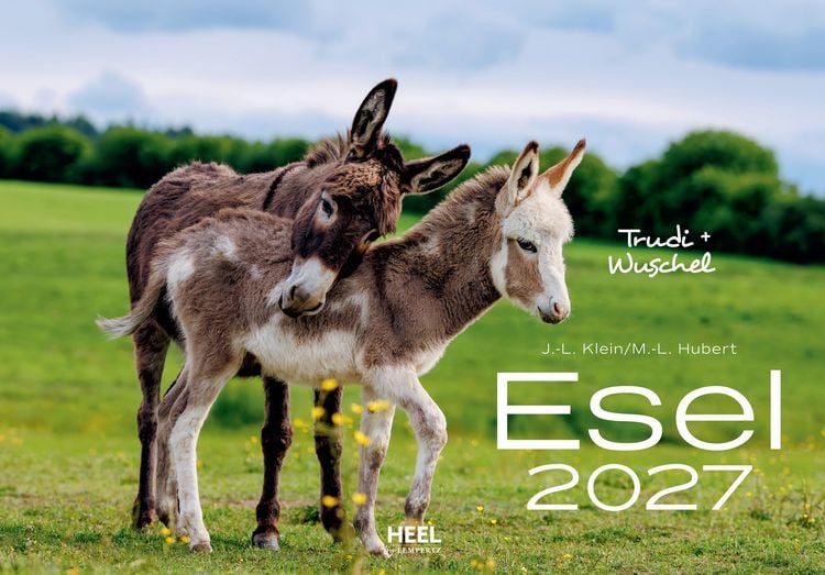 Produktbild: Esel Kalender 2027