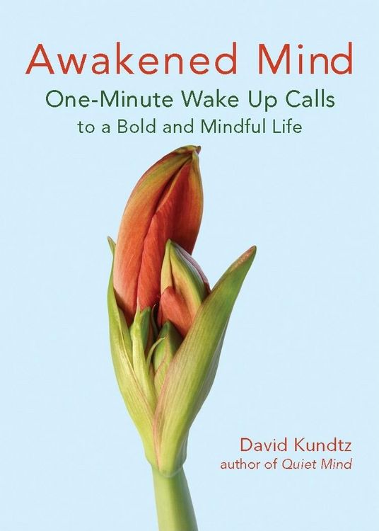 Produktbild: Awakened Mind