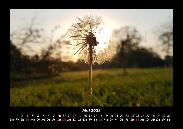Produktbild: Landschaftskalender 2025 Fotokalender DIN A3