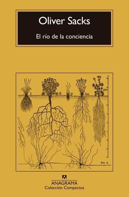 Produktbild: R&iacute;o de la Conciencia, El