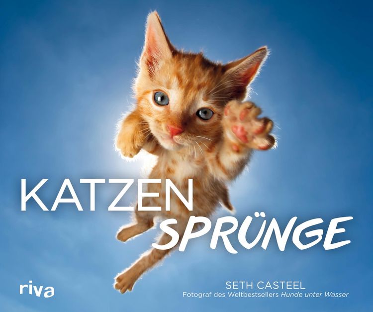 Produktbild: Katzenspr&uuml;nge