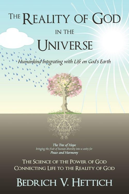 Produktbild: The Reality of God in the Universe