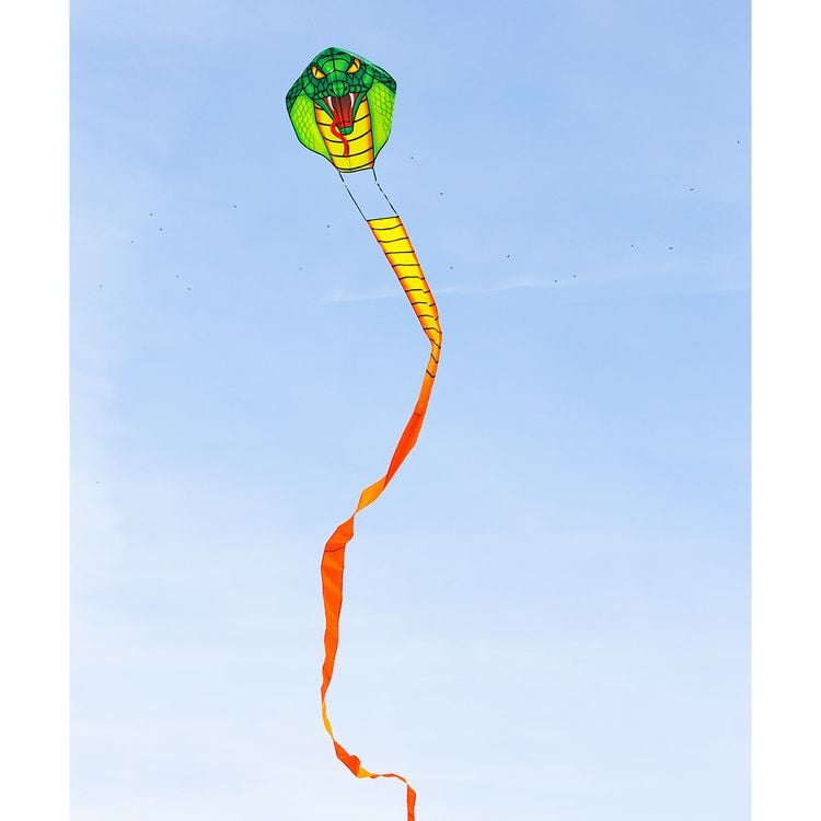 Produktbild: Ecoline Drachen Emerald Cobra Kite Spannweite (Details) 670mm Windst&auml;rken-Eignung 2 - 5 bft