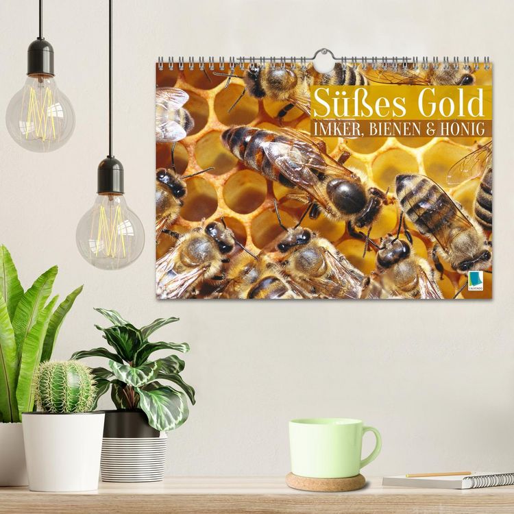 Produktbild: S&uuml;&szlig;es Gold: Imker, Bienen & Honig (Wandkalender 2026 DIN A4 quer), CALVENDO Monatskalender