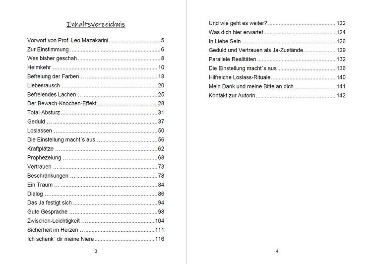 Produktbild: LIEBE sagt JA zum HIER und JETZT 2