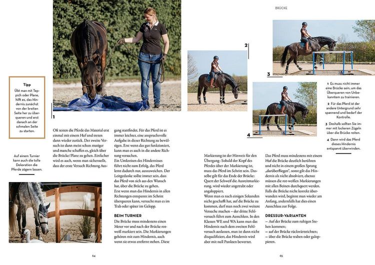 Produktbild: Working Equitation