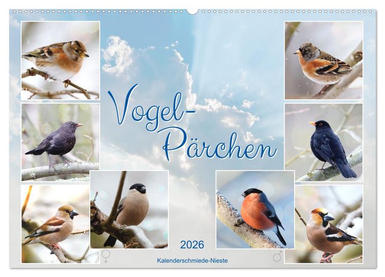 Produktbild: Vogel-P&auml;rchen (Wandkalender 2026 DIN A2 quer), CALVENDO Monatskalender