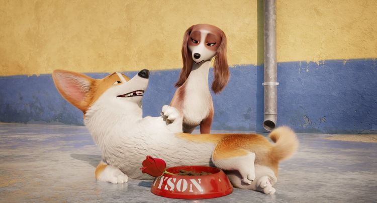 Produktbild: Royal Corgi - Der Liebling der Queen