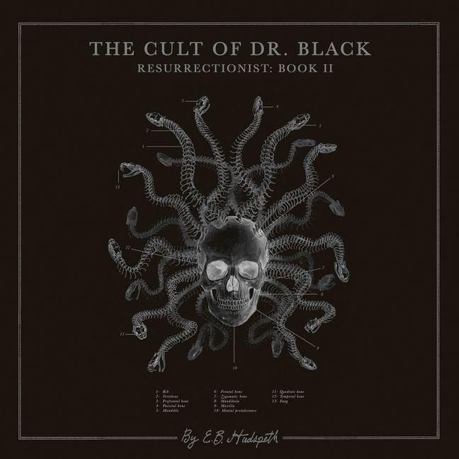 Produktbild: The Cult of Dr. Black