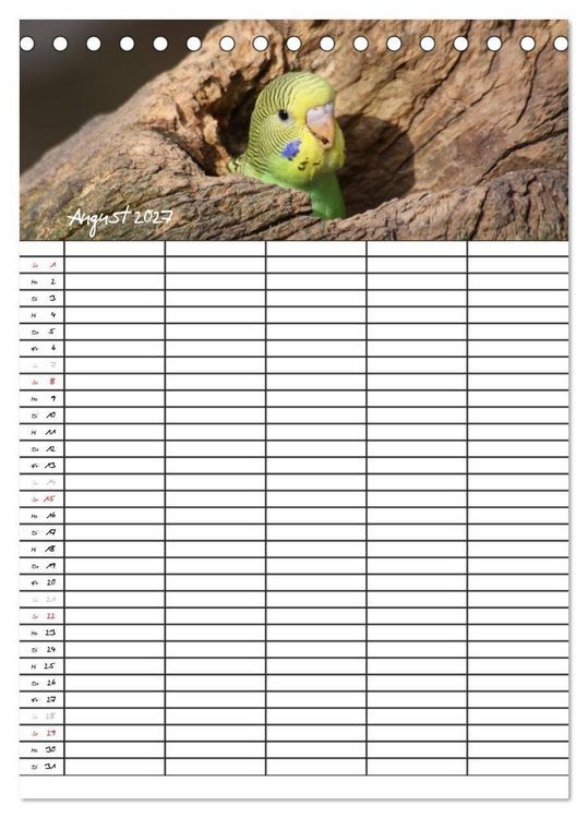 Produktbild: Wellensittiche (Tischkalender 2027 DIN A5 hoch), CALVENDO Monatskalender