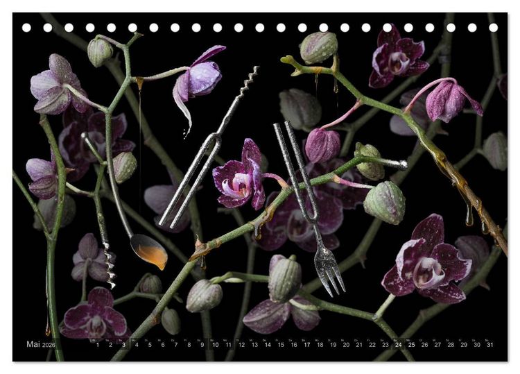 Produktbild: Musica fant&aacute;sia - Die wundersame Welt des Fotok&uuml;nstlers Olaf Bruhn (Tischkalender 2026 DIN A5 quer), CALVENDO Monatskalender