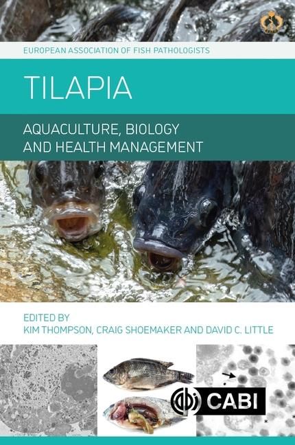 Produktbild: Tilapia