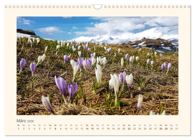 Produktbild: Alpen Blick (Wandkalender 2026 DIN A3 quer), CALVENDO Monatskalender