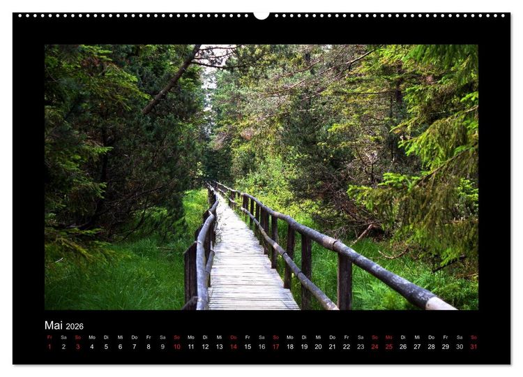 Produktbild: W&auml;lder, fotografiert auf vier Kontinenten (hochwertiger Premium Wandkalender 2026 DIN A2 quer), Kunstdruck in Hochglanz