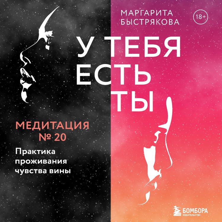 Produktbild: U tebya est' ty. Meditaciya 20. Praktika prozhivaniya chuvstva viny