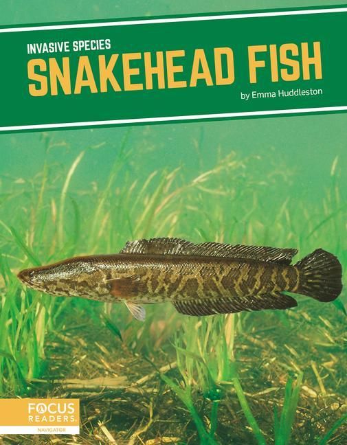 Produktbild: Snakehead Fish