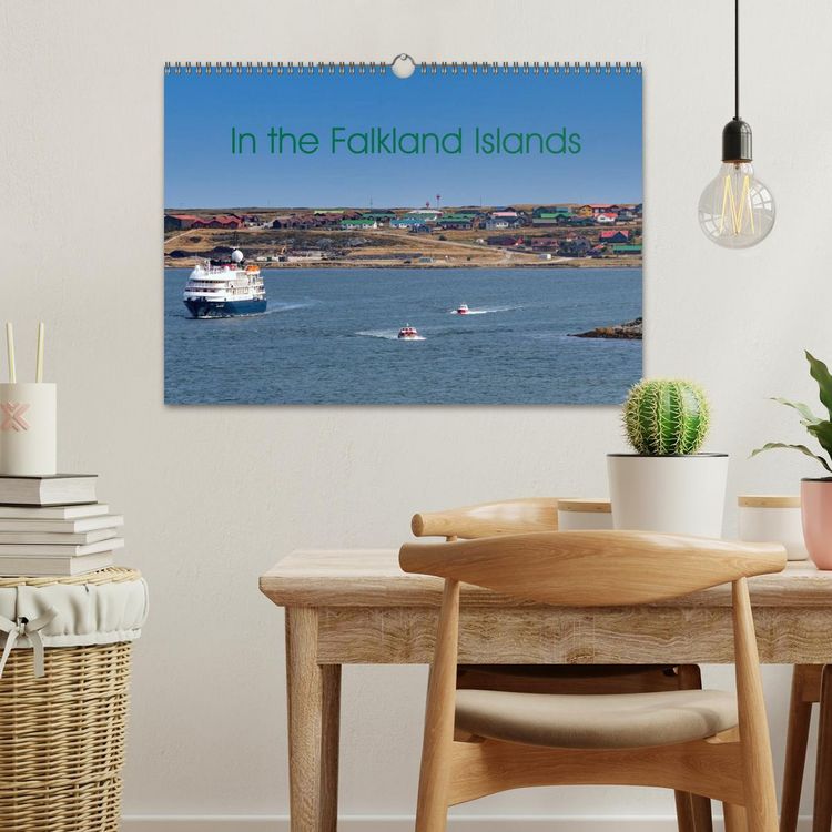 Produktbild: In the Falkland Islands (Wall Calendar 2026 DIN A3 landscape), CALVENDO 12 Month Wall Calendar