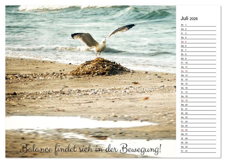 Produktbild: Lebensweisheiten der M&ouml;we - Im Flug des Lebens (hochwertiger Premium Wandkalender 2026 DIN A2 quer), Kunstdruck in Hochglanz
