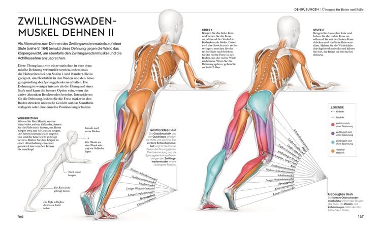 Produktbild: Stretching - Die Anatomie verstehen