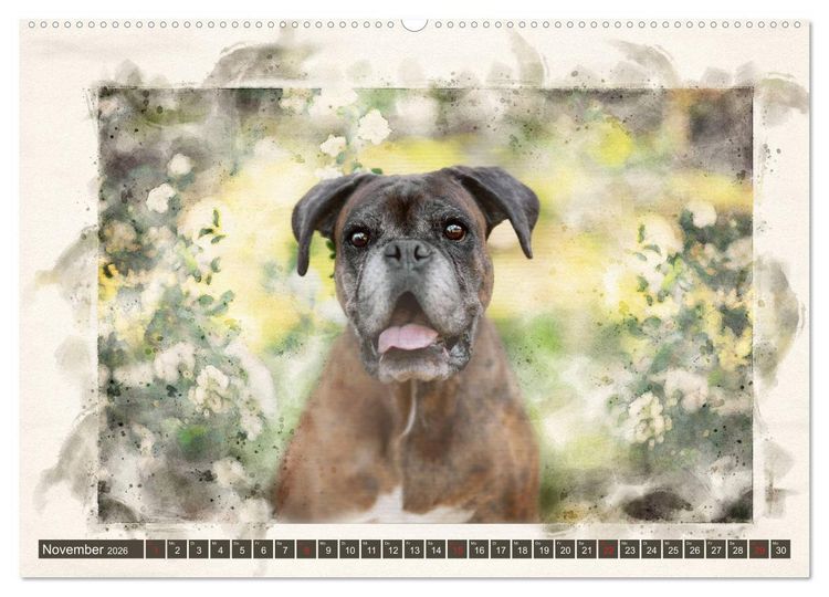 Produktbild: Boxer Photo&Kunst (hochwertiger Premium Wandkalender 2026 DIN A2 quer), Kunstdruck in Hochglanz