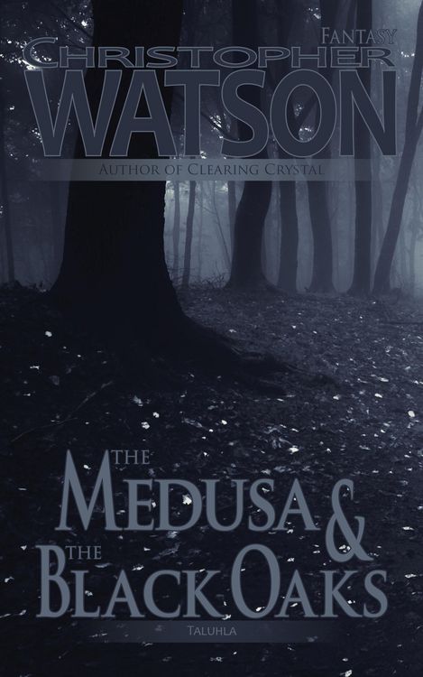 Produktbild: The Medusa & The Black Oaks