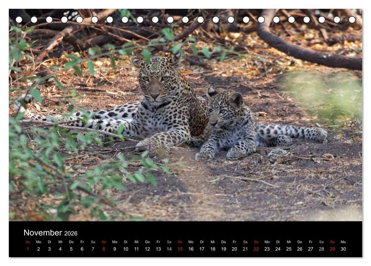 Produktbild: Naturerlebnis Botswana (Tischkalender 2026 DIN A5 quer), CALVENDO Monatskalender