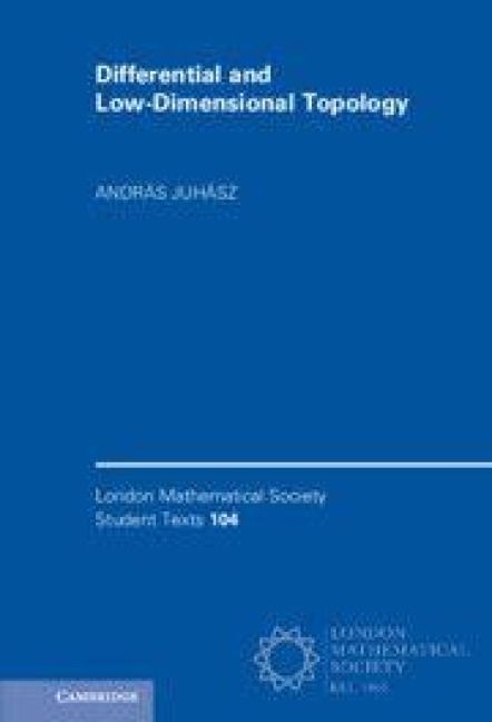 Produktbild: Differential and Low-Dimensional Topology