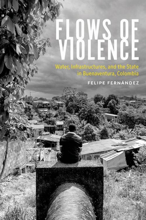 Produktbild: Flows of Violence