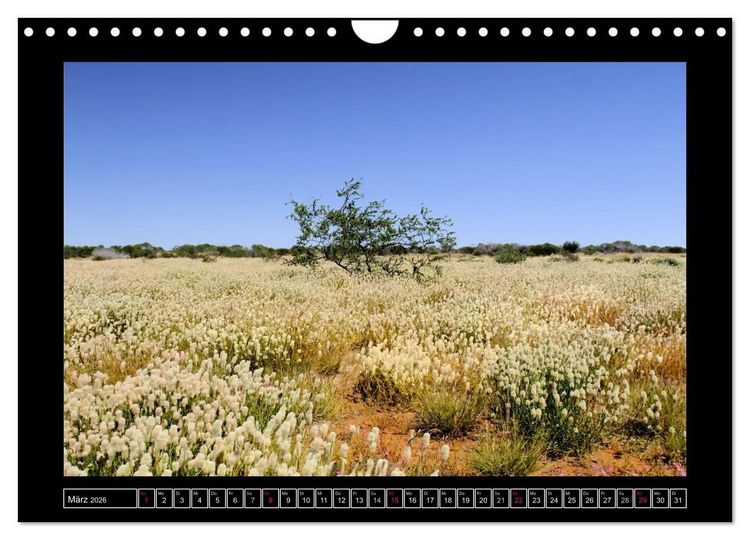 Produktbild: Australien - Von Perth bis Darwin (Wandkalender 2026 DIN A4 quer), CALVENDO Monatskalender