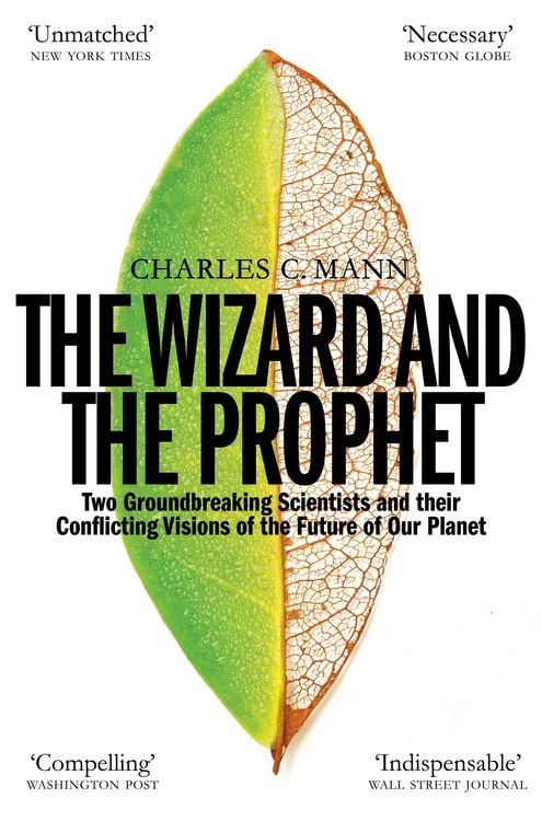 Produktbild: The Wizard and the Prophet