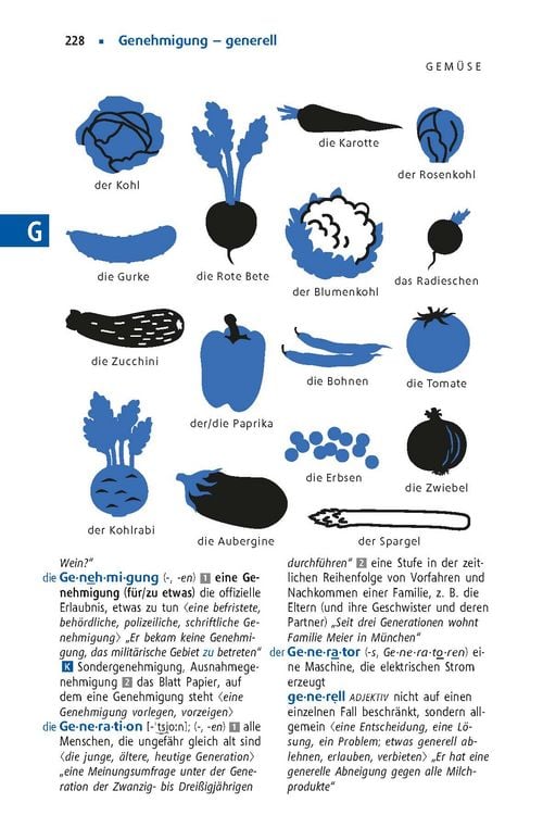 Produktbild: Langenscheidt Schulwörterbuch Deutsch als Fremdsprache