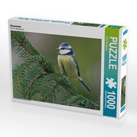 Produktbild: CALVENDO Puzzle Blaumeise 1000 Teile Lege-Gr&ouml;&szlig;e 64 x 48 cm Foto-Puzzle Bild von Dieter-M. Wilczek