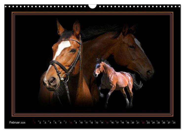 Produktbild: Traumpferde-ART-Collection (Wandkalender 2026 DIN A3 quer), CALVENDO Monatskalender