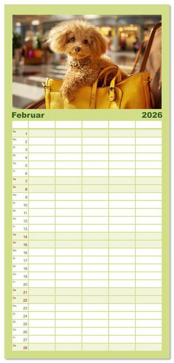 Produktbild: Familienplaner 2026 - Pudel in der Stadt. Urbane Momente voller Charme und Lebensfreude mit 5 Spalten (Wandkalender, 21 x 45 cm) CALVENDO