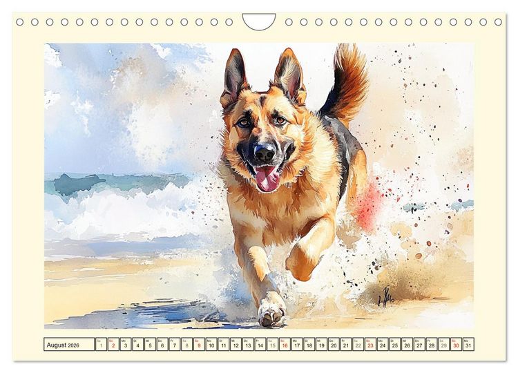Produktbild: Deutsche Sch&auml;ferhunde. Majest&auml;tische W&auml;chter im Aquarell-Stil (Wandkalender 2026 DIN A4 quer), CALVENDO Monatskalender