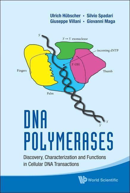 Produktbild: DNA Polymerases: Discovery, Characterization and Functions in Cellular DNA Transactions