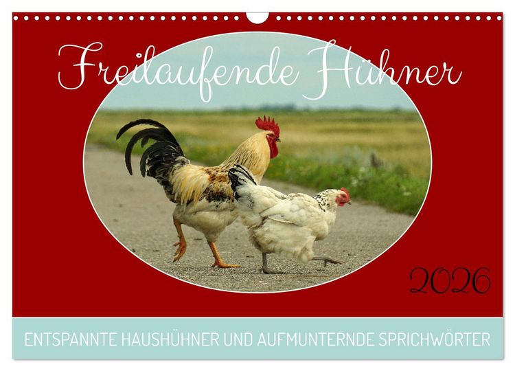Produktbild: Freilaufende H&uuml;hner (Wandkalender 2026 DIN A3 quer), CALVENDO Monatskalender
