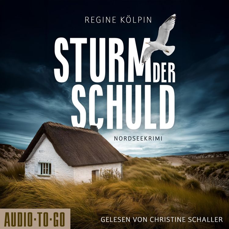 Produktbild: Sturm der Schuld