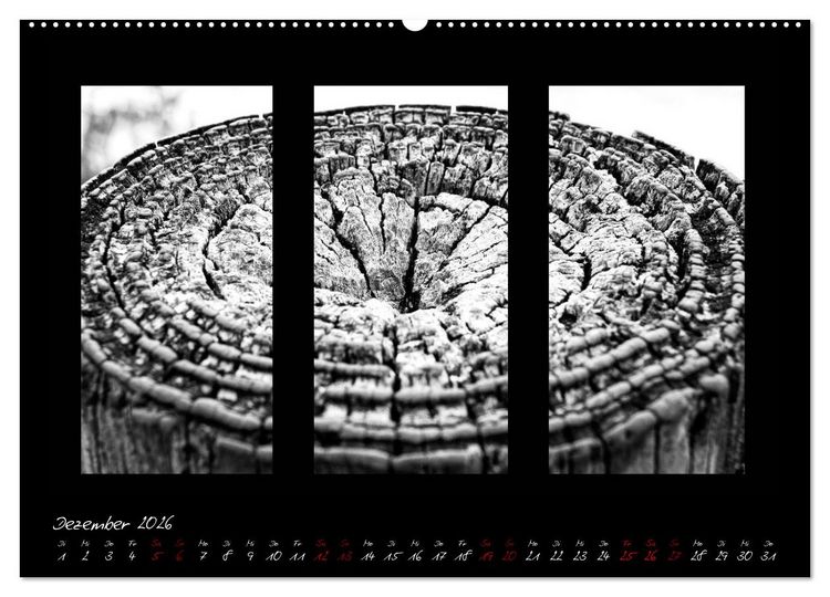 Produktbild: Die Kunst der Natur - Dreifach Stilvoll (hochwertiger Premium Wandkalender 2026 DIN A2 quer), Kunstdruck in Hochglanz