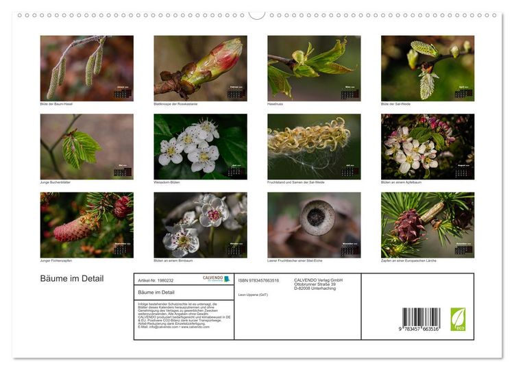 Produktbild: B&auml;ume im Detail (hochwertiger Premium Wandkalender 2026 DIN A2 quer), Kunstdruck in Hochglanz
